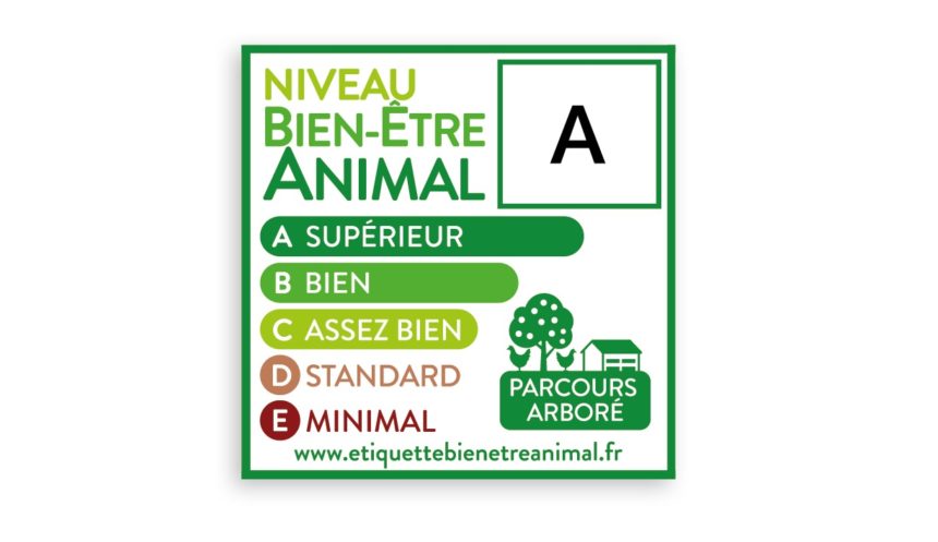 Evolution De L Etiquetage Sur Le Bien Etre Animal Vers Un Referentiel Et Une Etiquette Unique En France Groupe Casino